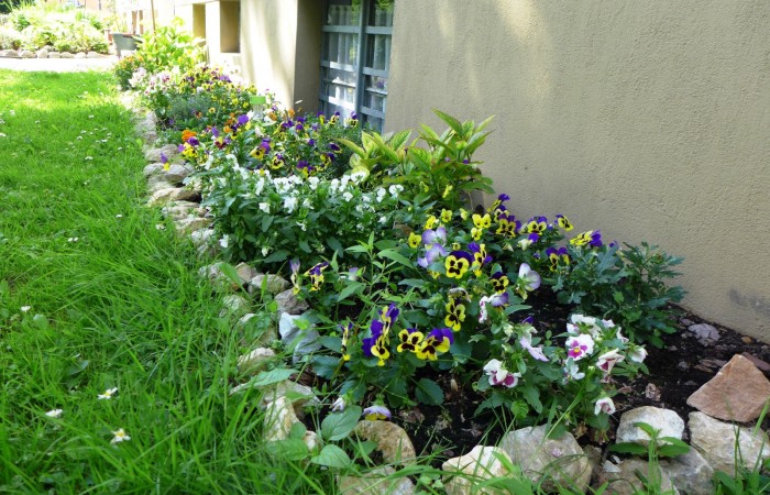 Nr.12 - Herr Matuvic - Dr.-Kopp-Str.