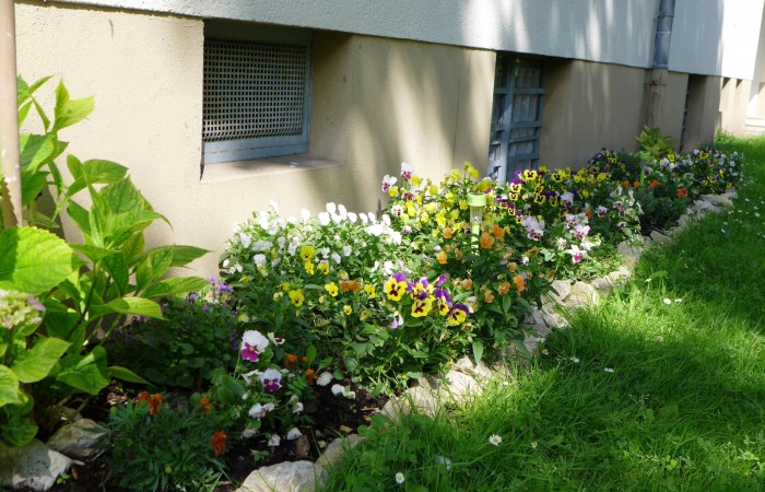 Nr.12 - Herr Matuvic - Dr.-Kopp-Str.