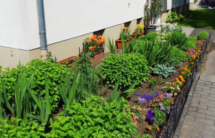 Nr.15 - Frau Baars - Dr.-Kopp-Str.