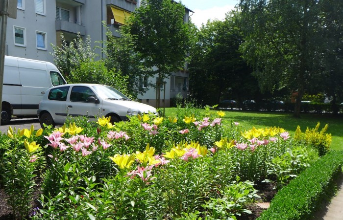 Nr.14 - Irina Litwinov - Dr.-Kopp-Str.