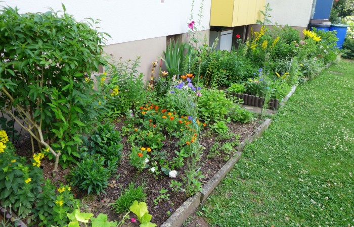 Nr.27 - Frau Mackert - Dr.-Kopp-Str.