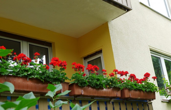 Nr.26 - Günter Kloppot - Dr.-Kopp-Str.