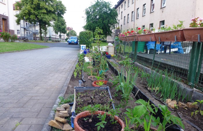 Nr.16 - Ruhsev Bayar - Gallasiniring