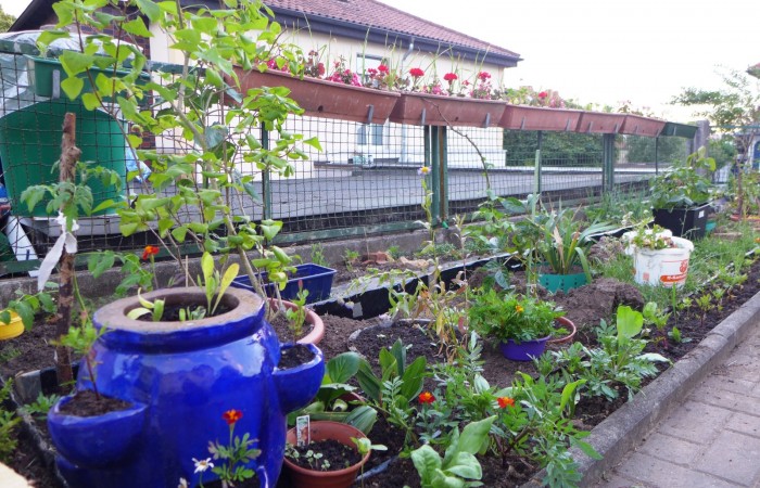 Nr.16 - Ruhsev Bayar - Gallasiniring