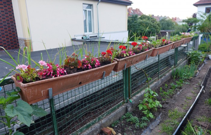 Nr.16 - Ruhsev Bayar - Gallasiniring